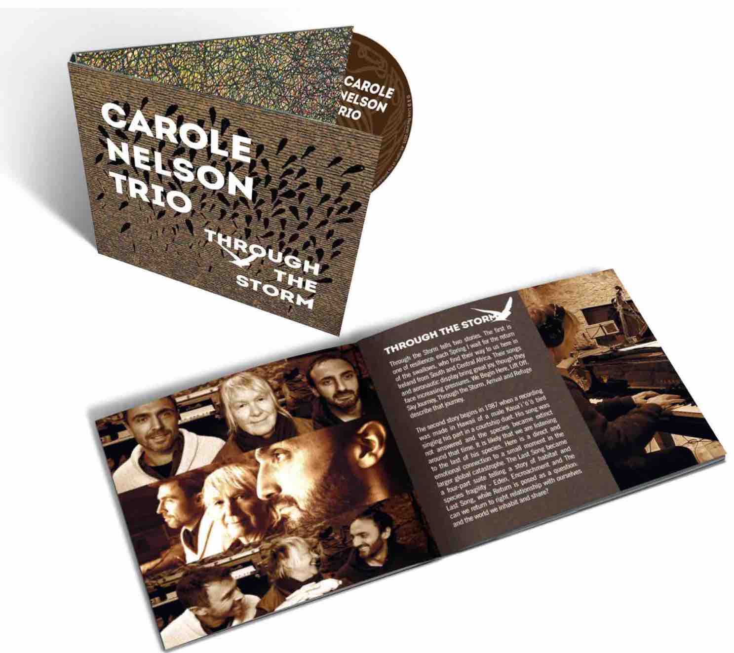 The Carole Nelson Trio’s THROUGH THE STORM